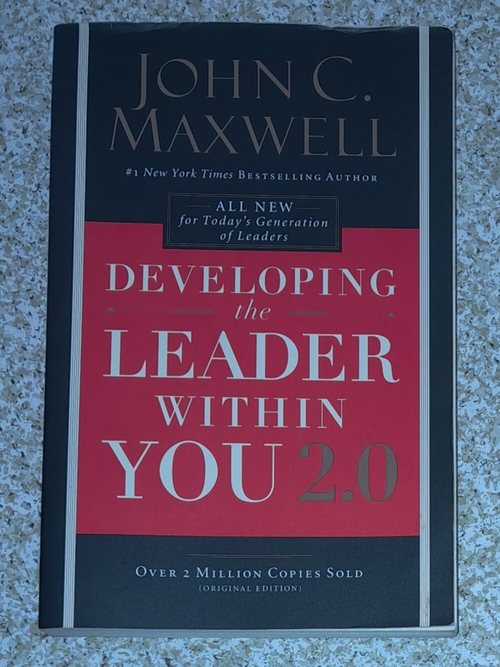 Guide Book: Developing the Leader within You 2.0 by John C. Maxwell